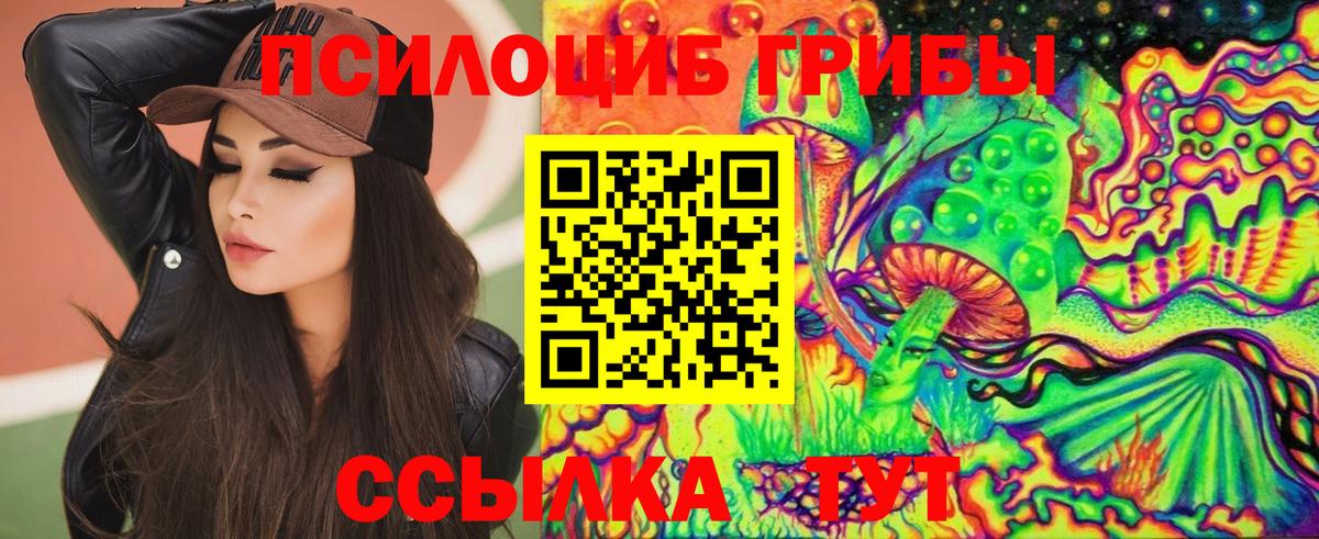 Псилоцибиновые грибы GOLDEN TEACHER  Вход с VPN  Усолье-Сибирское 