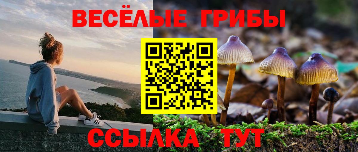 Псилоцибиновые грибы прущие грибы Усолье-Сибирское